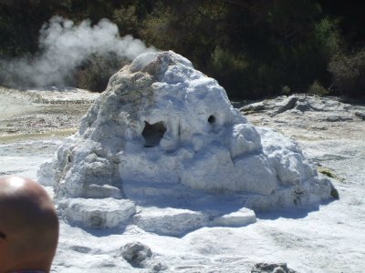 Lady Knox Geyser at Waiotapu, Rotorua