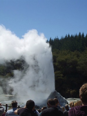 Lady Knox Geyser at Rotorua, NZ, erupting