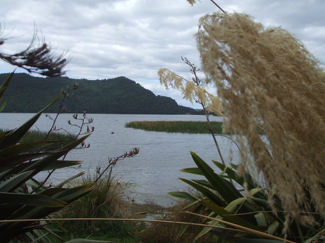 Lake Okareka view from the walking track