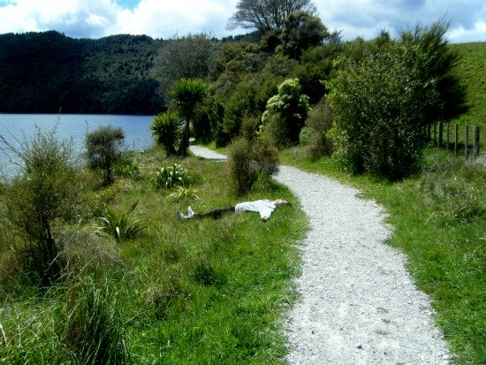 Part of the Lake Okareka walkway