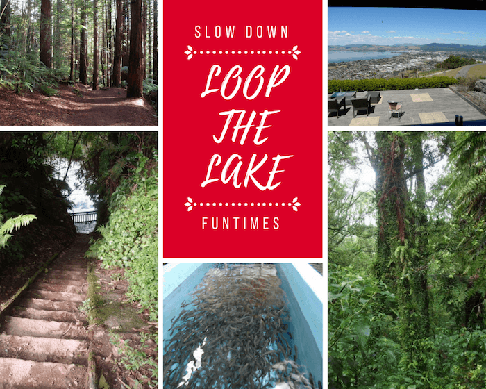 Rotorua Loop the Lake Self-drive Tour Guide for Couples