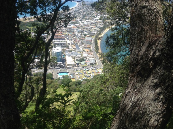 Looking down on Pilot Bay (right) from Mount Maunganui (Mauao).