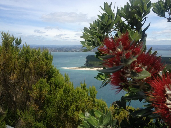 Snippet of a view from Mount Manunganui's summit to the port side.