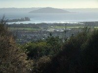 View over Rotorua from the south.