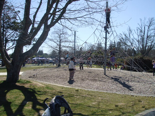Playground climbing equipment at Kuirau Park, Rotorua