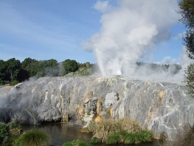 Pohutu Geyser, Te Puia, Whakarewarewa Valley