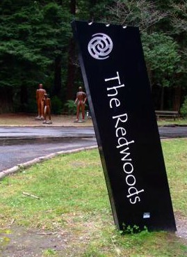 The Rotorua Redwoods sign, NZ