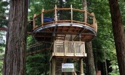 Rotorua Redwoods Treewalk, a fun, family activity.