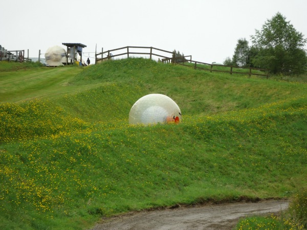 Rotorua attractions are often perceived as being pricey