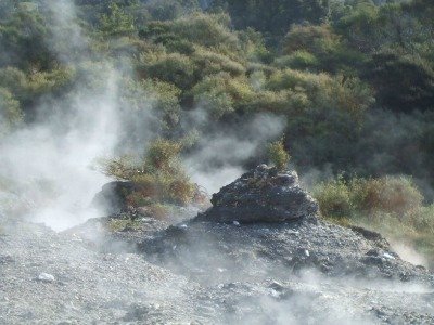 Rotorua geothermal scenery - plants clinging to rocks