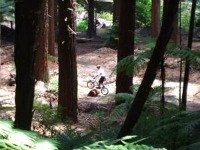 Mountain Bike, Rotorua, New Zealand