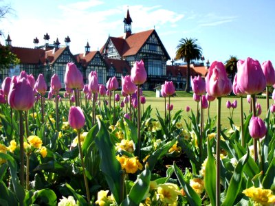 Rotorua Museum Of Art & History in Spring