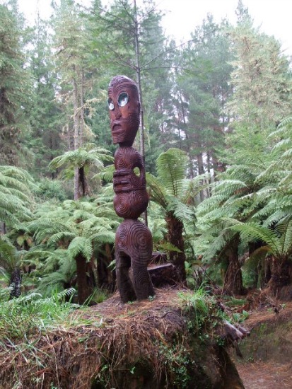A Ponga Track Carving on the Rotorua Puarenga Walk