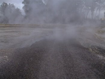 Sulphur Point, Rotorua - thermal  steam across the trac