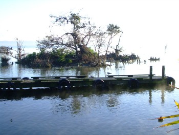 Sulphur Point, Rotorua - wildlife sanctuar