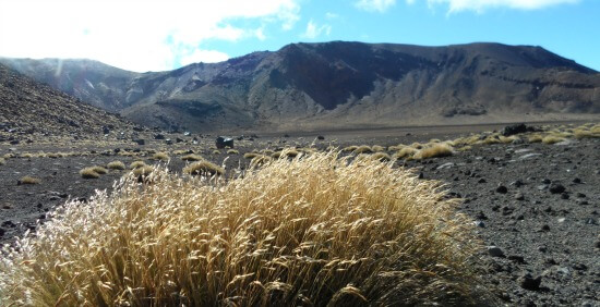 South Crater on the Tongariro Crossing, New Zealand