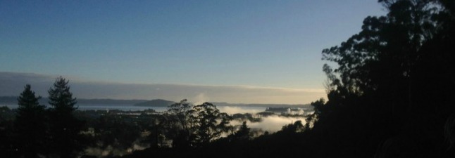 View over Rotorua city from the Whakarewarewa trigg.