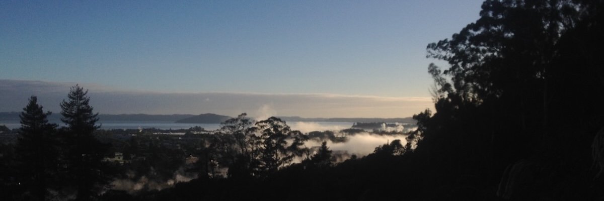 Rotorua Early Morning Light