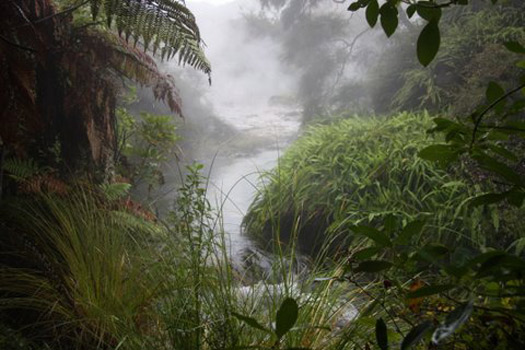 © Waimangu Volcanic Valley Img - Hot stream.