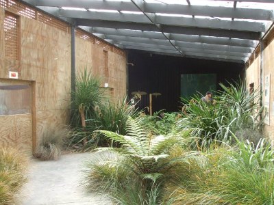 Wingspan, Rotorua, NZ - aviary area