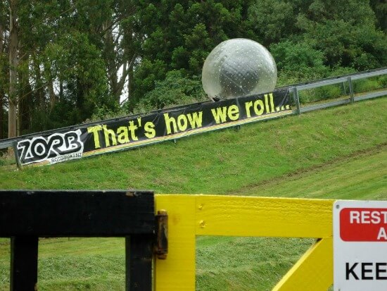 Is Zorbing in Rotorua covered with your NZ insurance policy?